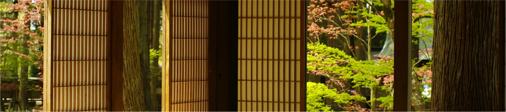 部屋の風景